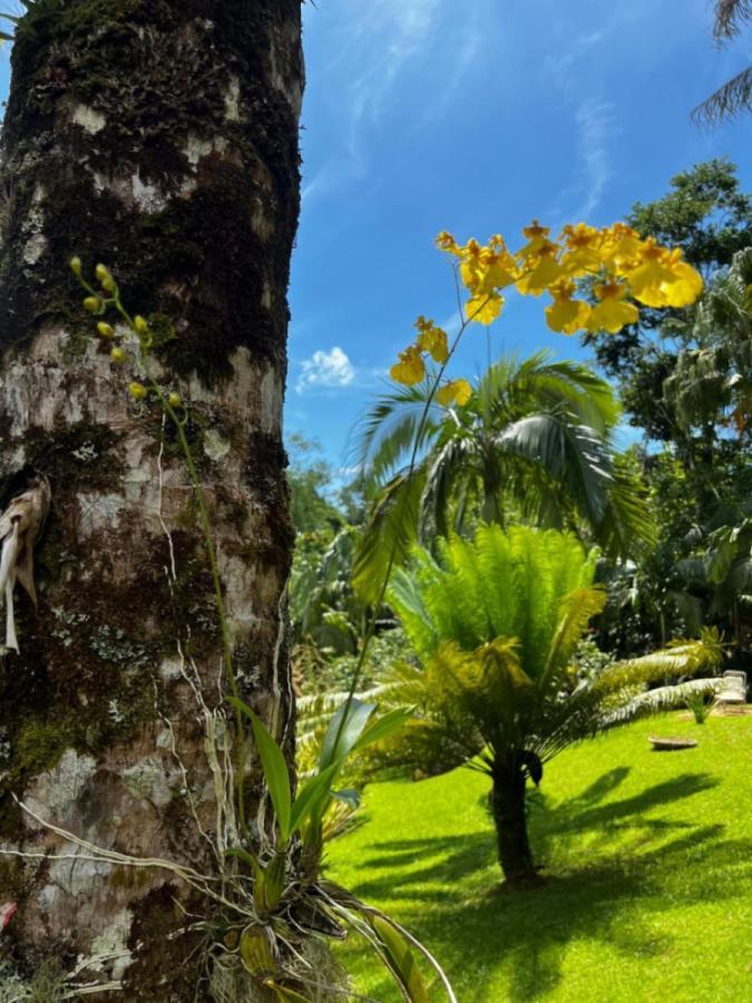 Pousada Bromelias Парати Екстериор снимка